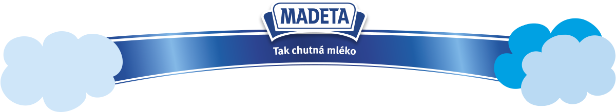 Madeta logo